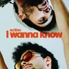 About I Wanna Know Song