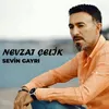 About Sevin Gayrı Song