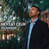 About Zulamdasın Song