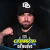 About Campeón de Nuevo Song