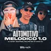 About Automotivo Melódico 1.0 Song