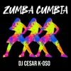 About Zumba Cumbia Song
