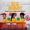 About Ice Ananas Song