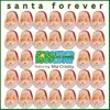 About Santa Forever Song