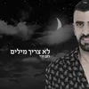 About לא צריך מילים Song