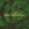 About Mary Did You Know? Radio Version Song