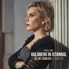 Goldberg in Istanbul, Op. 94