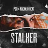 About Stalker Song