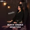 About Mesaytara Remix Song