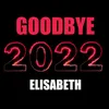 About Goodbye 2022 Song