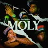 About Moly Song