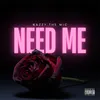 About Need Me Song
