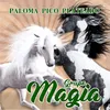 About Paloma Pico Plateado Song