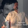 About Neyleyim Song