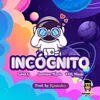 About Incognito Song