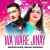 About Wa Ware Jinay Song