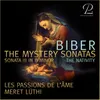 Mystery (Rosary) Sonatas, Sonata No. 3 in B Minor "The Nativity": IV. Adagio