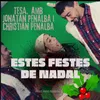 About Estes festes de Nadal Song