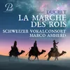 About La Marche des Rois Song