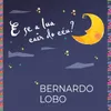 About E Se a Lua Cair do Céu? Song