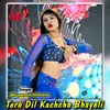 About Tero Dil Kachcho Bhayeli Song