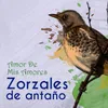 Cenizas