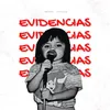 Evidencias