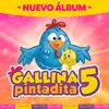 Gallina Pintadita 5