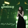 About Jealousy Song
