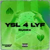 About YSL 4 LYF Song