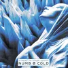 About Numb & Cold Song