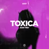 About Toxica Song