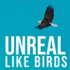 About Unreal Like Birds Song