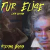 About Fur Elise Song