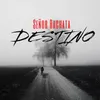 About Destino Song