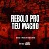 About Rebolo Pro Teu Macho Song