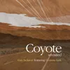 Coyote Revisited
