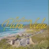 About Pura Vida Song