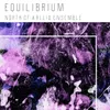 About Equilibrium Song