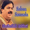About Sohna Sanwala Song