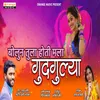 About Bolun Tula Hoti Mala Gudgulya Song