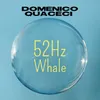 52Hz Whale