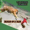 About Tackled by a Tiger Song