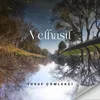 Velhasıl