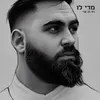 About מרי לו (קאבר) Song