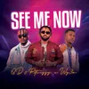 About See Me Now Song