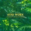 About Stay Woke Song