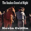 About The Snakes Crawl at Night Song