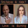 About Love Is Burning Song