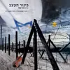 About כינור העצב Song